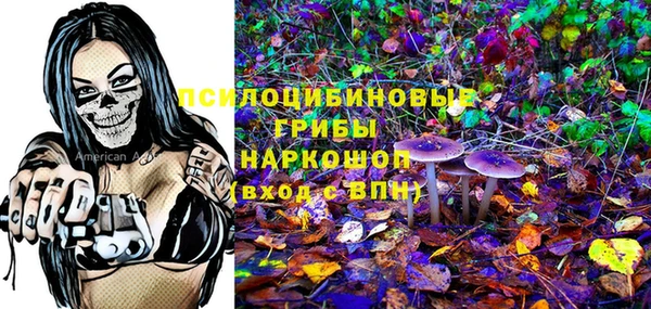 соль ск Тихвин