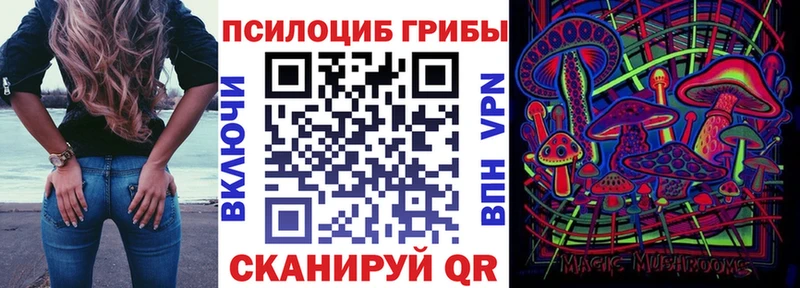 цены   Красавино  Галлюциногенные грибы MAGIC MUSHROOMS 
