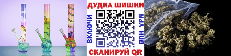 Конопля Amnesia  цены   Красавино 